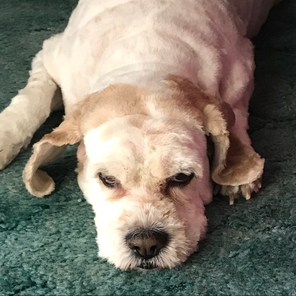 Meet your Posher, Michelle - Picture 1 of 1